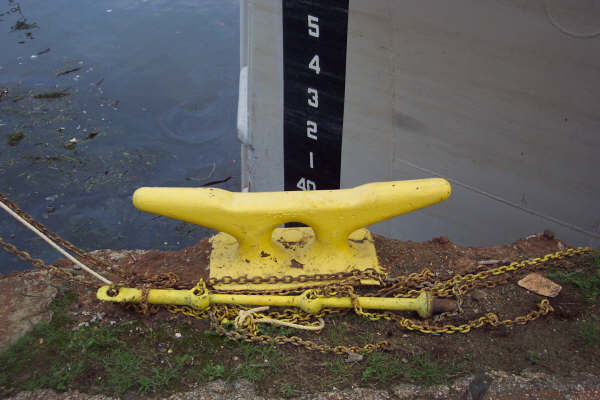 Cleat